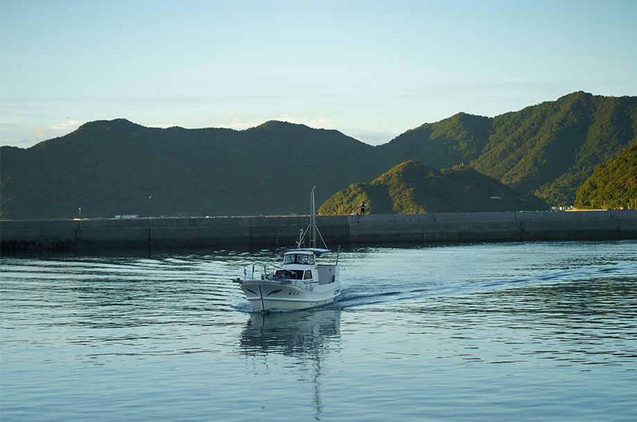龍ヶ岳プランとは？